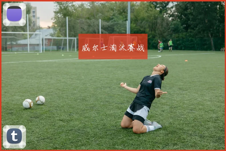 威尔士淘汰赛战