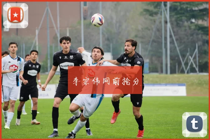 李宗伟网前抢分