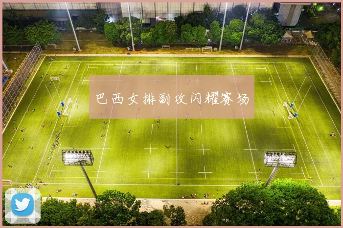 巴西女排副攻闪耀赛场
