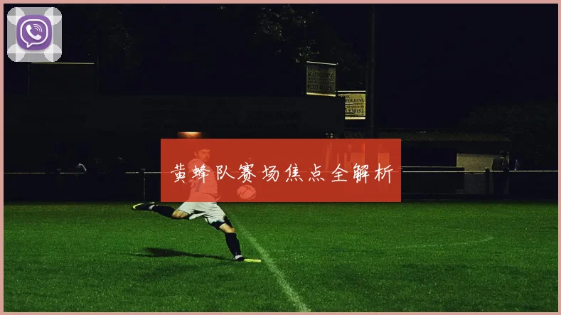 黄蜂队赛场焦点全解析