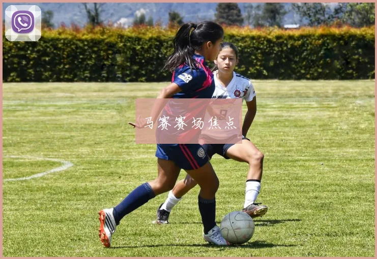 马赛赛场焦点