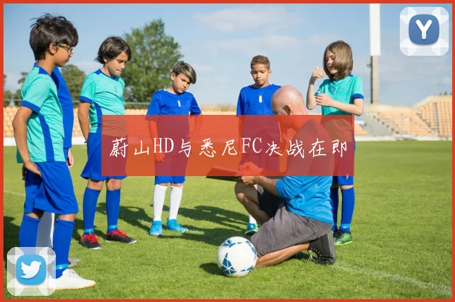 蔚山HD与悉尼FC决战在即