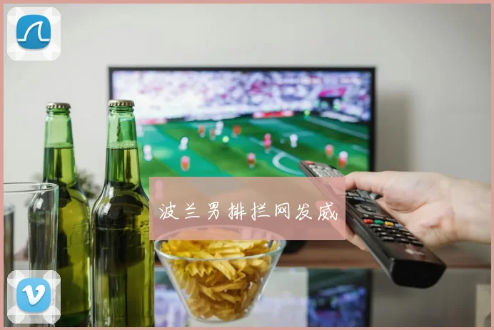 波兰男排拦网发威