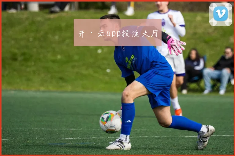 开·云app投注大厅