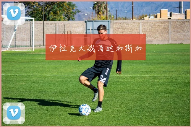 伊拉克大战马达加斯加