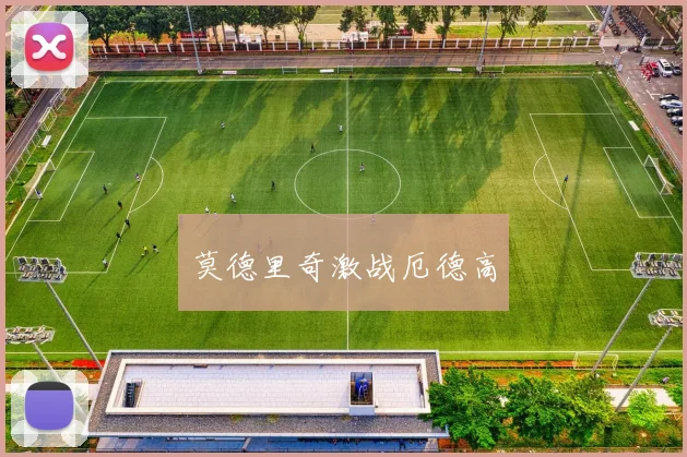 莫德里奇激战厄德高
