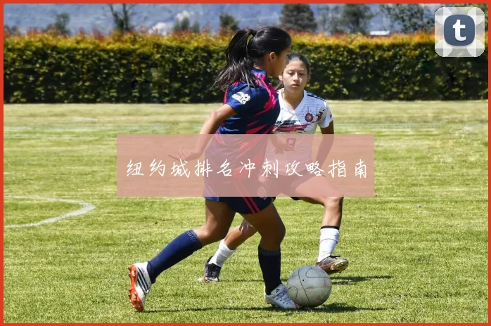 纽约城排名冲刺攻略指南