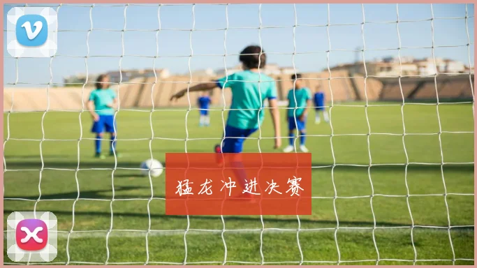 猛龙冲进决赛