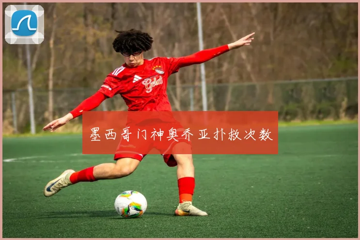 墨西哥门神奥乔亚扑救次数
