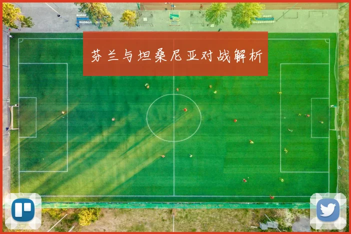 芬兰与坦桑尼亚对战解析