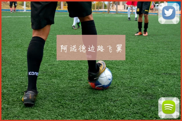 阿诺德边路飞翼