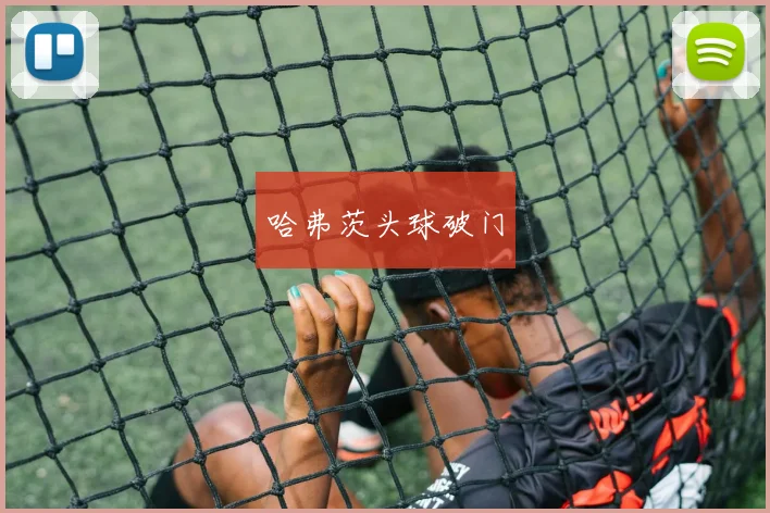 哈弗茨头球破门