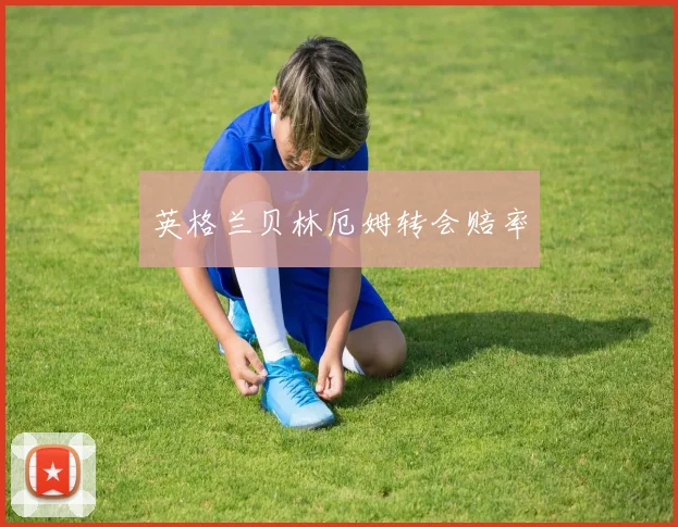 英格兰贝林厄姆转会赔率
