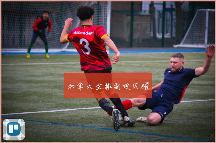 加拿大女排副攻闪耀