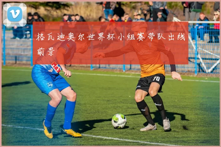 格瓦迪奥尔世界杯小组赛带队出线前景