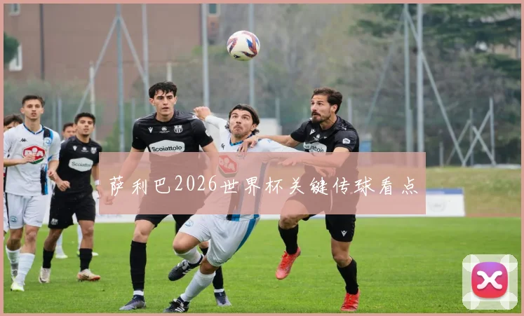 萨利巴2026世界杯关键传球看点