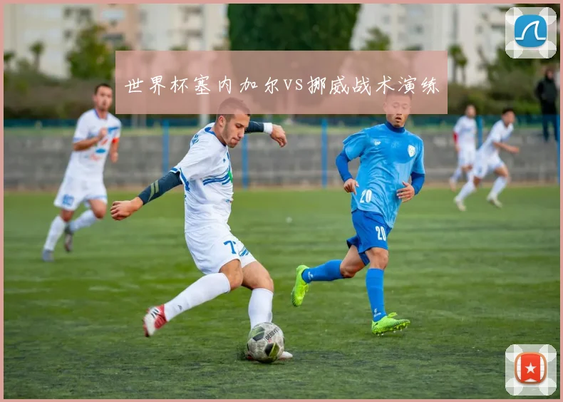 世界杯塞内加尔vs挪威战术演练