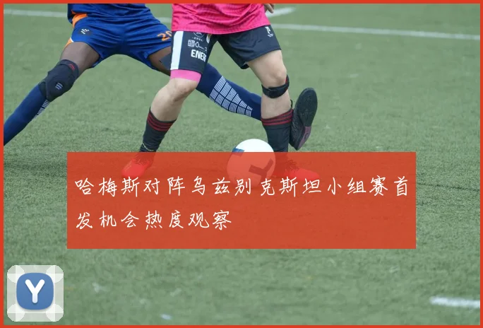 哈梅斯对阵乌兹别克斯坦小组赛首发机会热度观察