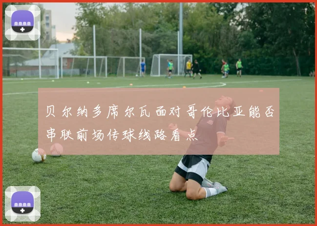 贝尔纳多席尔瓦面对哥伦比亚能否串联前场传球线路看点