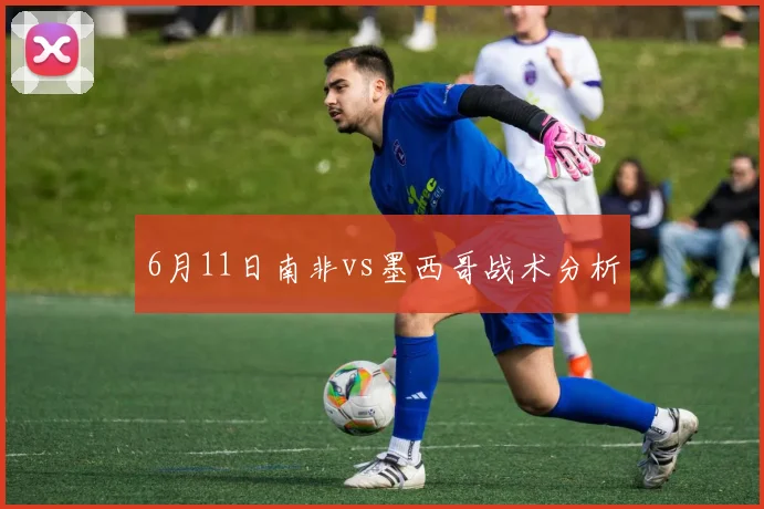 6月11日南非vs墨西哥战术分析