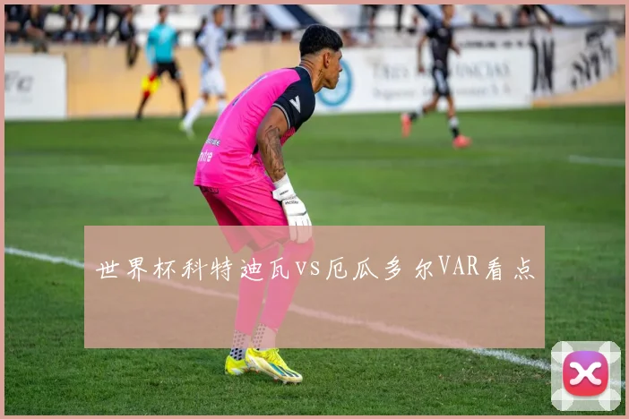 世界杯科特迪瓦vs厄瓜多尔VAR看点