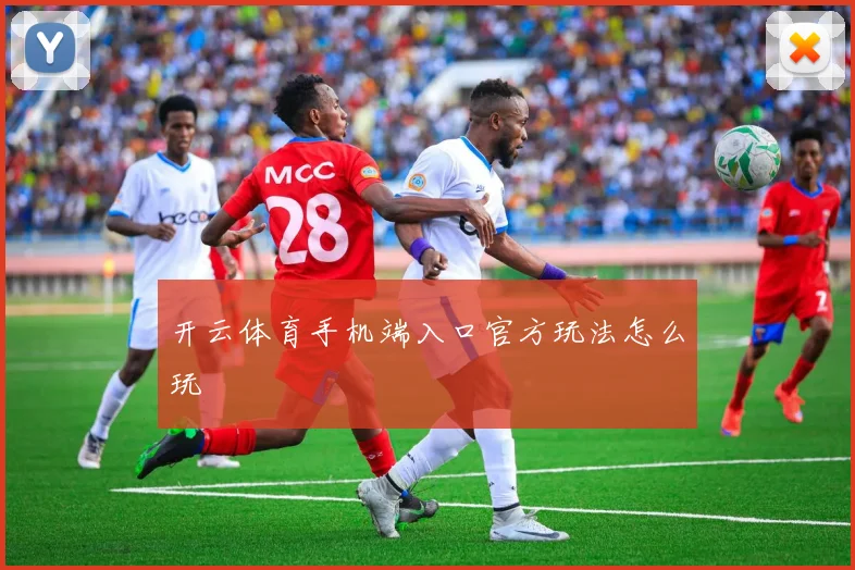 开云体育手机端入口官方玩法怎么玩