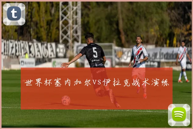 世界杯塞内加尔vs伊拉克战术演练