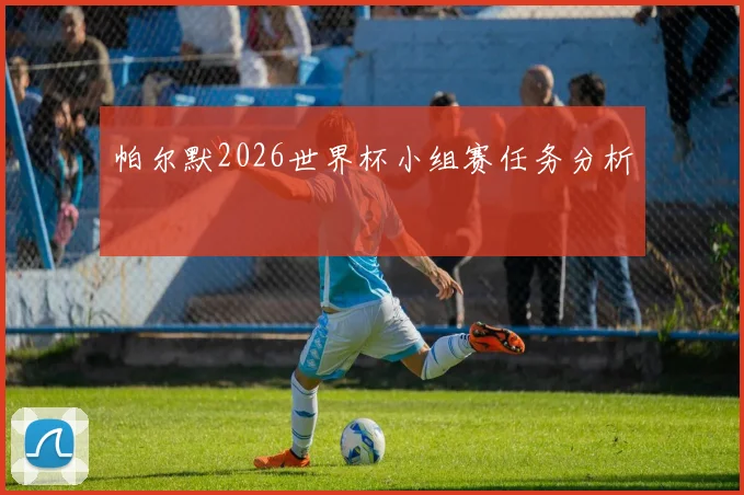 帕尔默2026世界杯小组赛任务分析