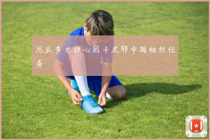 厄瓜多尔核心因卡皮耶中路组织任务