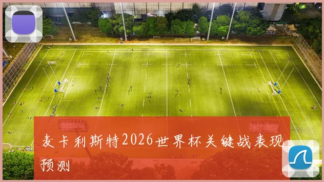 麦卡利斯特2026世界杯关键战表现预测