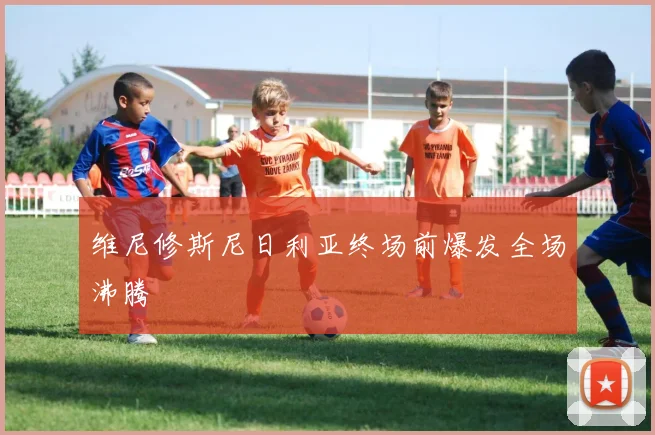 维尼修斯尼日利亚终场前爆发全场沸腾