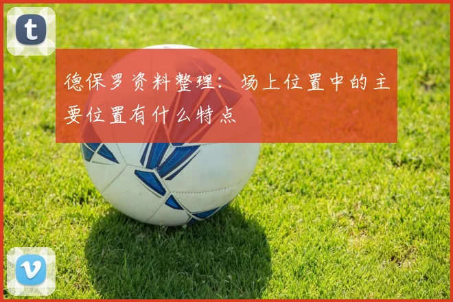 德保罗资料整理:场上位置中的主要位置有什么特点